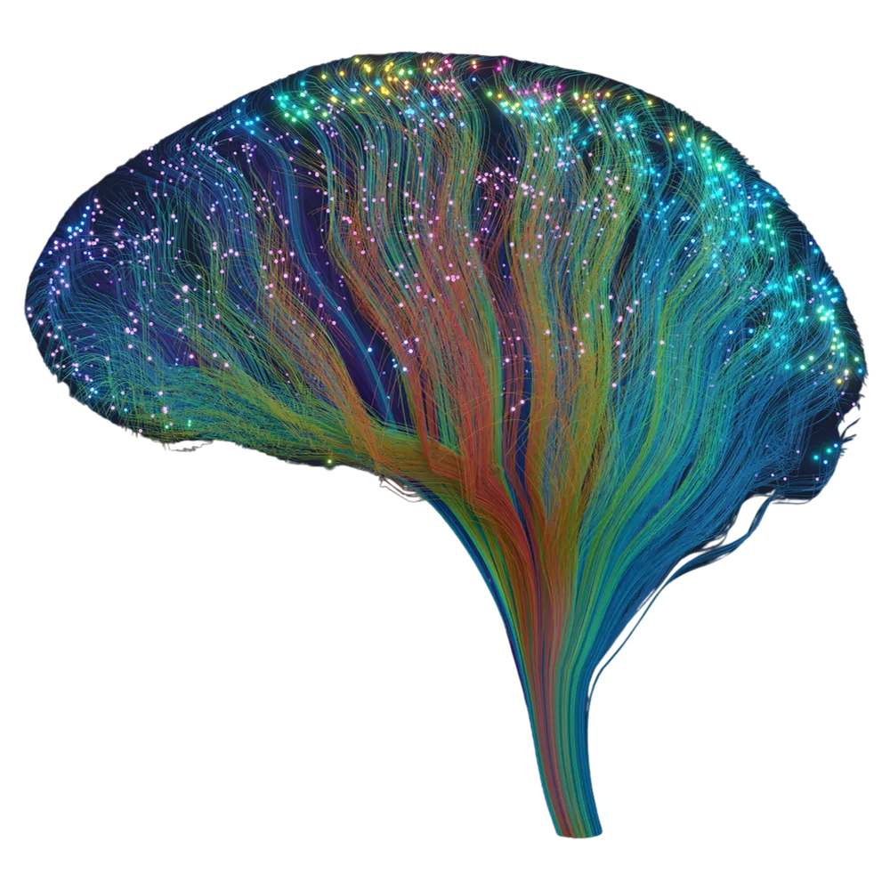 Cereset Brain Netflow